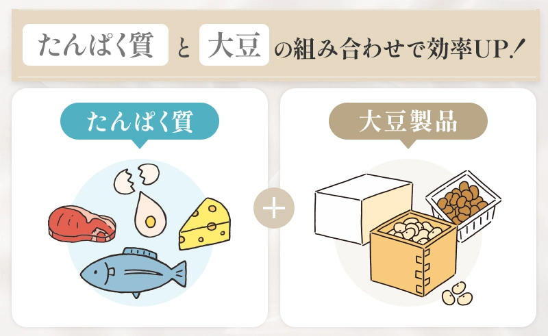 たんぱく質と大豆を組み合わせるとより効率よく女性ホルモンを増やせる