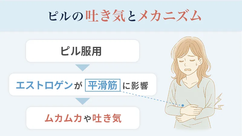 ピルの副作用として吐き気が起こるメカニズム