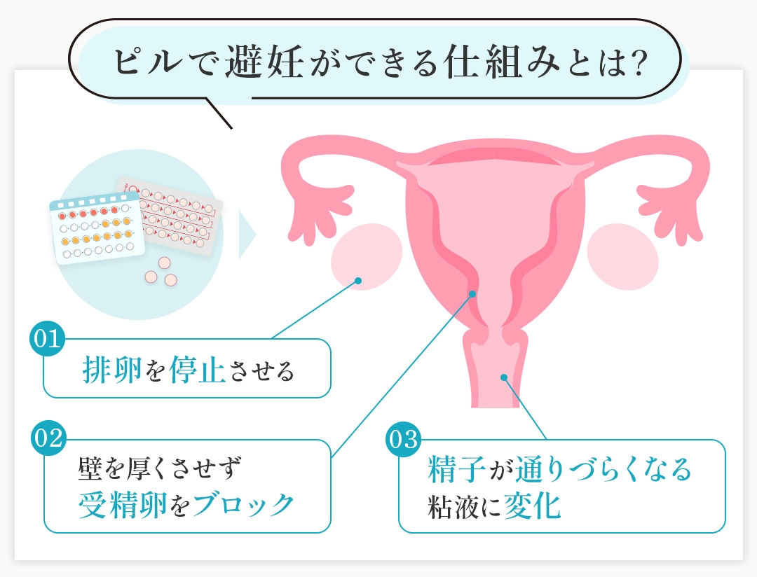 ピルで避妊ができる仕組み