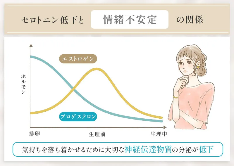 ホルモンバランスの変化によるセロトニン低下と情緒不安定の関係ト